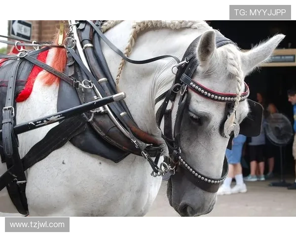 维德马率队三胜当选四月最佳教练